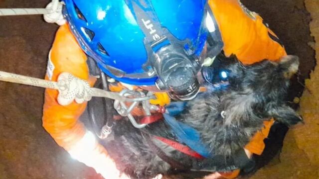 Final feliz para Luque: cayó a un pozo y debió ser rescatado por los Bomberos.