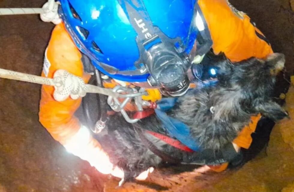Final feliz para Luque: cayó a un pozo y debió ser rescatado por los Bomberos