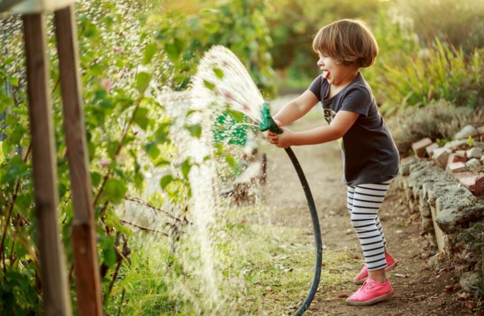 10 consejos para que la superficie de nuestro jardín se luzca también en invierno