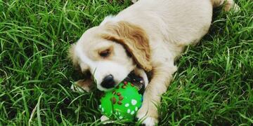 Foto: Mariana Herrera\u002E