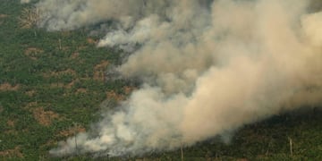 Este viernes 23 de agosto, vista aérea de varias columnas de humo en la selva amazónica de Porto Velho, Rondonia (Brasil)\u002E (Misiones Online)