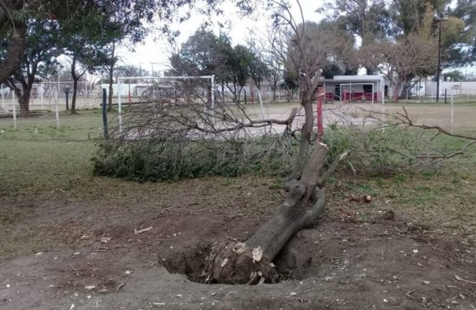 Construirían en terrenos donde está ubicado el Centro Vecinal Nicolás Batalla