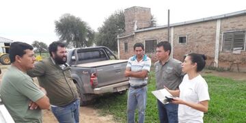Alertan por mangas de langostas ingresando a Chaco y Formosa