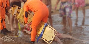 Se arrojó desde un muelle en el Río Paraná y sufrió traumatismo de cráneo
