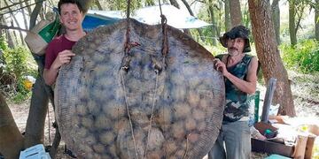 La raya pescada en Puerto Gaboto pesó 153 kilos\u002E (Facebook)