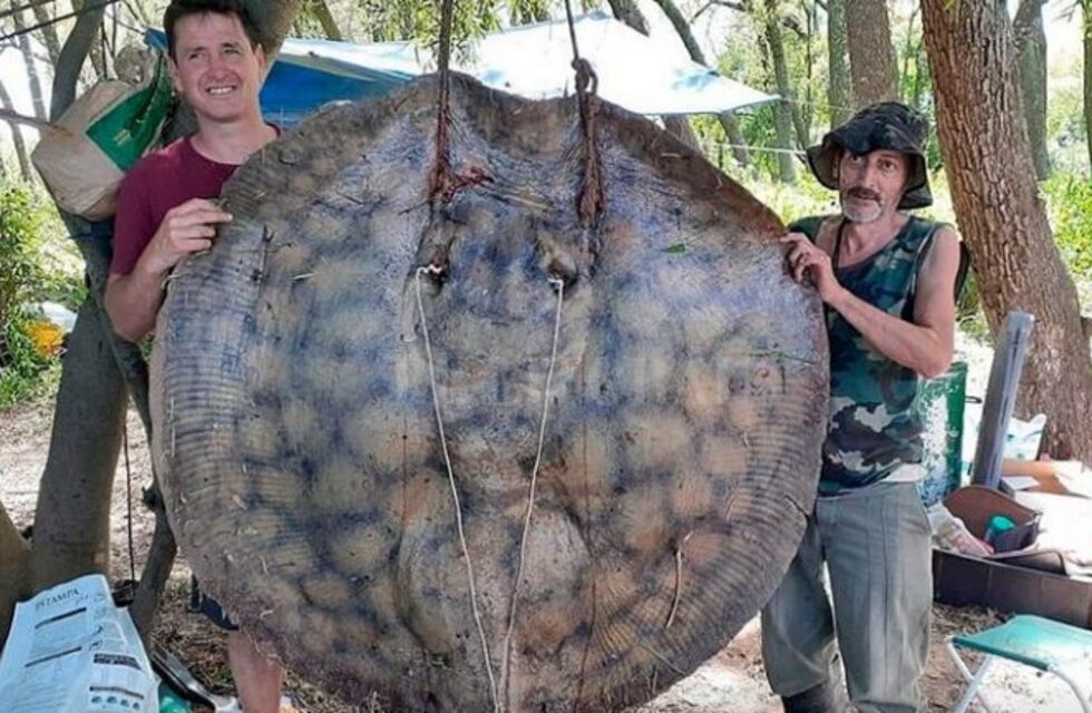 Pesca gigante: lucharon más de una hora y sacaron una raya de 153 kilos