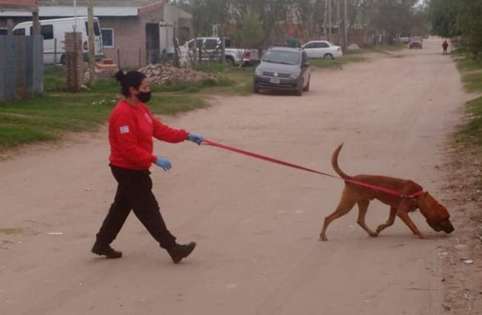 Apareció la menor de 15 años que buscaban en Bahía Blanca
