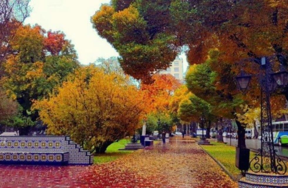 Amanecer otoñal en Mendoza y con nubosidad para la semana
