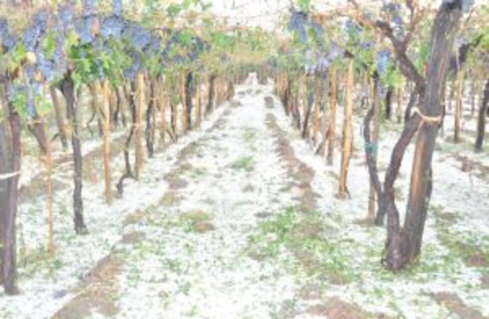 Temporal en el Sur: 5000 hectáreas afectadas y el gobierno prepara la asistencia