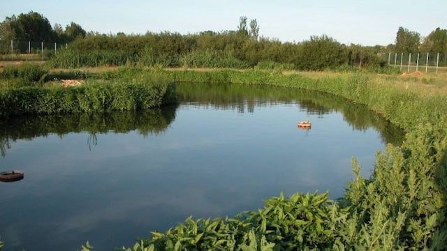 Se realiza en el marco del Día Internacional de los Humedales. (Municipalidad de La Plata)