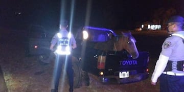 Un caballo en la caja de una camioneta Toyota durante la cuarentena\u002E Su dueño fue detenido en Itacaruaré por manejer borracho\u002E (Policía de Misiones)