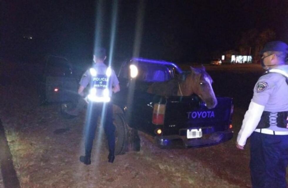 Burló la cuarentena, llevó su pingo a una curandera porque lo vio deprimido y quedó preso por manejar borracho