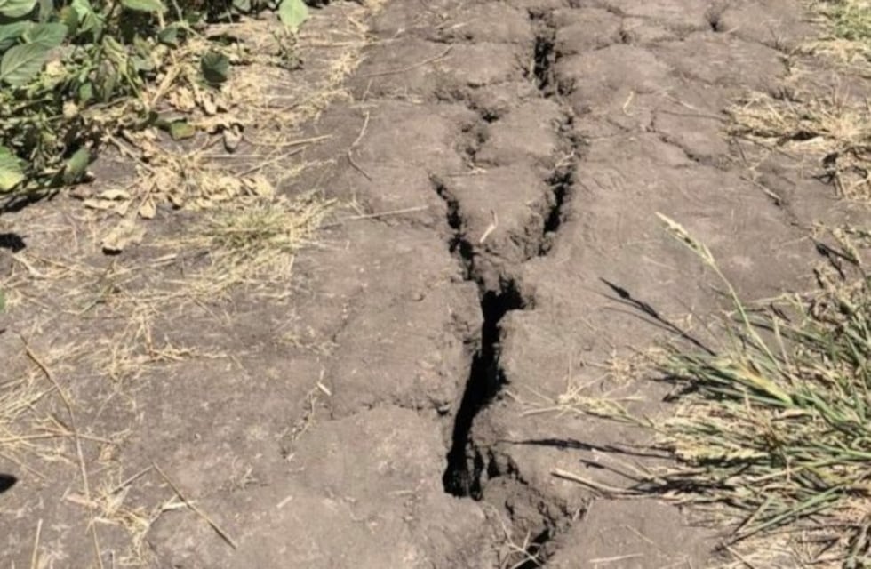 Por la sequía, la Mesa Agropecuaria bonaerense pidió medidas excepcionales a Vidal