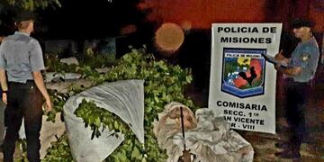 Cayó una banda con un tonelada de hoja verde en San Vicente