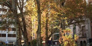 El comienzo del otoño se adelanta un día