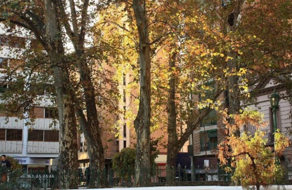 Así estará el tiempo en Córdoba este miércoles 27 de marzo