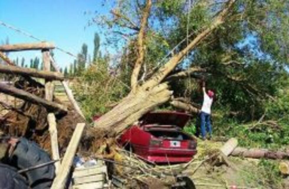 Cuatro mil hectáreas del Sur se vieron afectadas por la tormenta del sábado