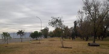 La costanera de Carlos Paz está quedando cada vez más verde