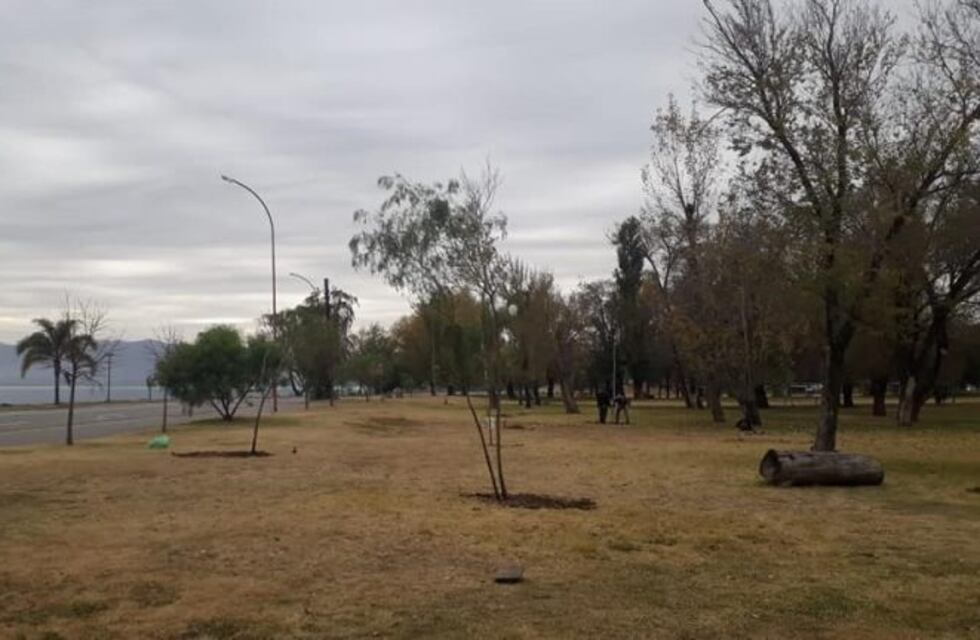 La costanera de Carlos Paz está quedando cada vez más verde