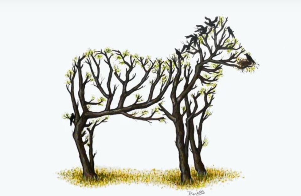 El extraño mensaje que oculta la imagen viral de la cebra que se viralizó por WhatsApp