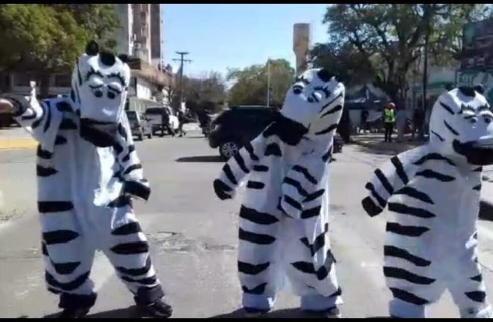 Iniciativa de la Municipalidad: Tres pequeñas cebras enseñan seguridad vial