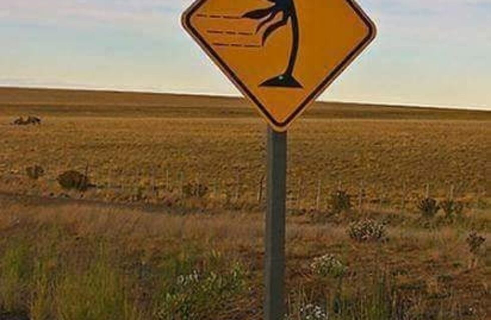 Estado de rutas: se ruega transitar con precaución