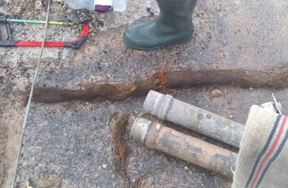 Sin servicio de agua a causa de la raíz de un árbol