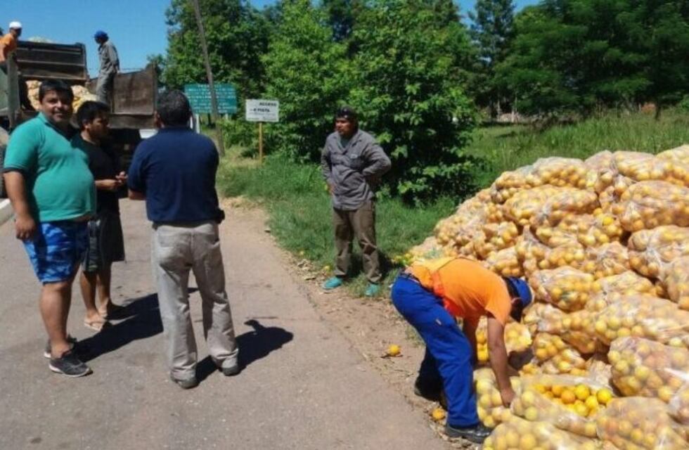 Se implementará en Jujuy y Salta barreras fitosanitarias móviles