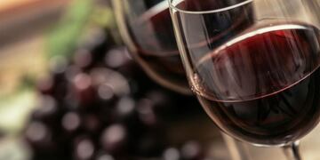 Vino\u002E