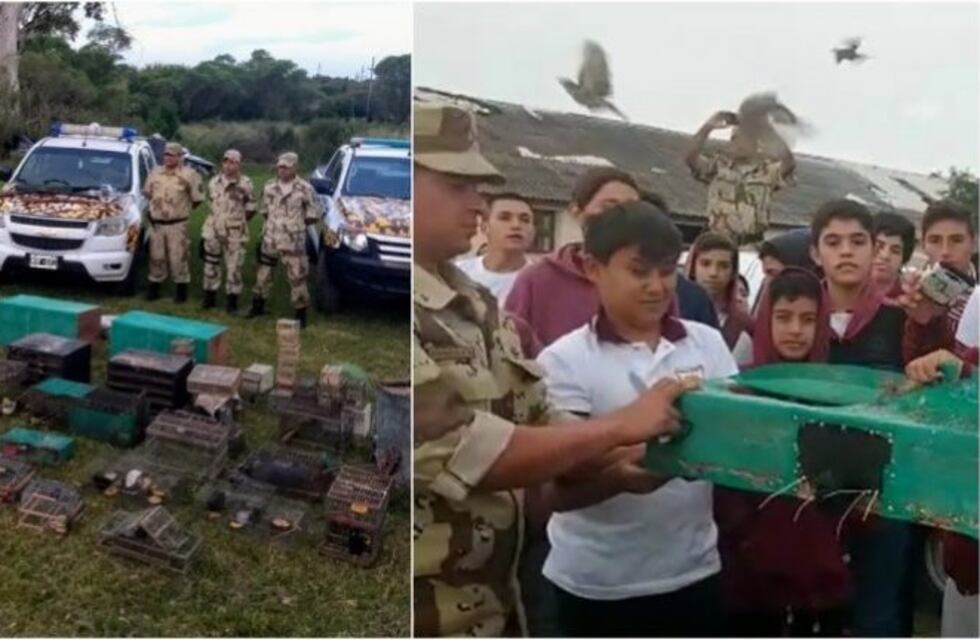 Detuvieron a una amplia red de caza y venta de aves en Entre Ríos