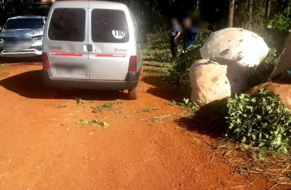 Colonia Polana: recuperaron tres toneladas de Yerba Mate robada