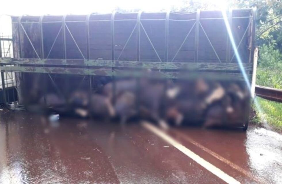 Montecarlo: volcó un camion que transportaba ganado y murieron varios animales