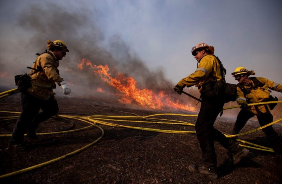 California en pleno fuego: un caballo decidió escapar para buscar a su cría