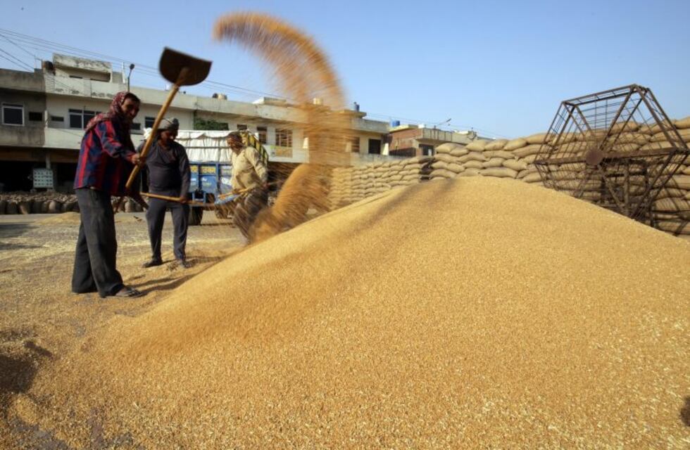 La molienda de trigo del primer cuatrimestre es la más alta de los últimos cinco años