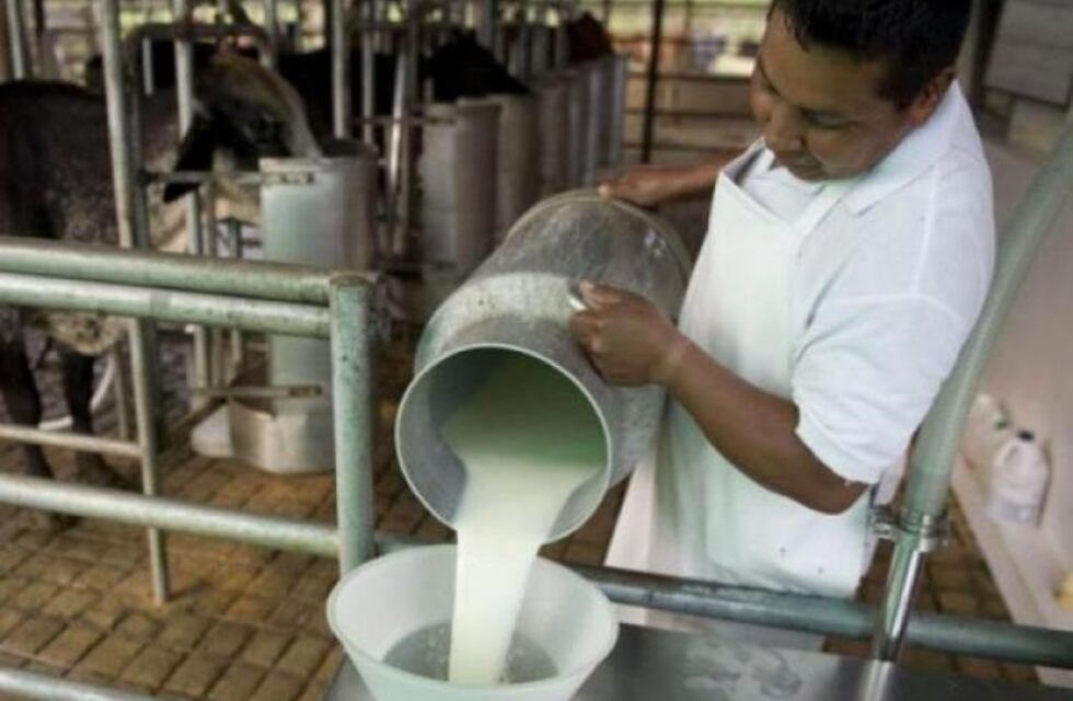 Realizaron operativos de fiscalización de empresas lácteas en Córdoba