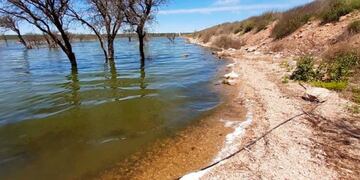 Mortandad de camarones en la laguna del Bajo Giuliani (APN)