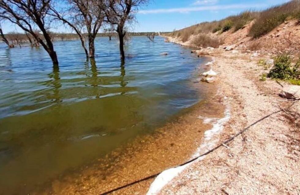 Técnicos evalúan la mortandad de camarones que se produjo en la laguna del Bajo Giuliani