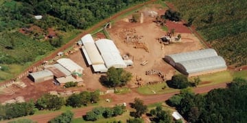 Robo en el aserradero Tierra Roja de Montecarlo