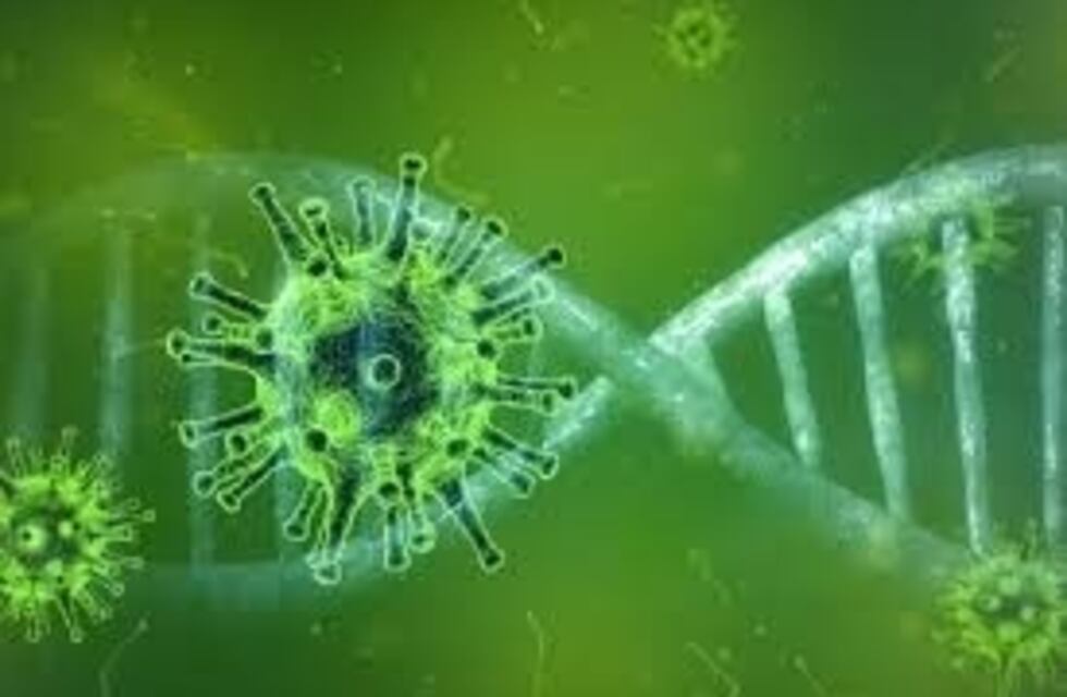 Coronavirus en Mendoza: diez pacientes dados de alta y sin nuevos casos positivos