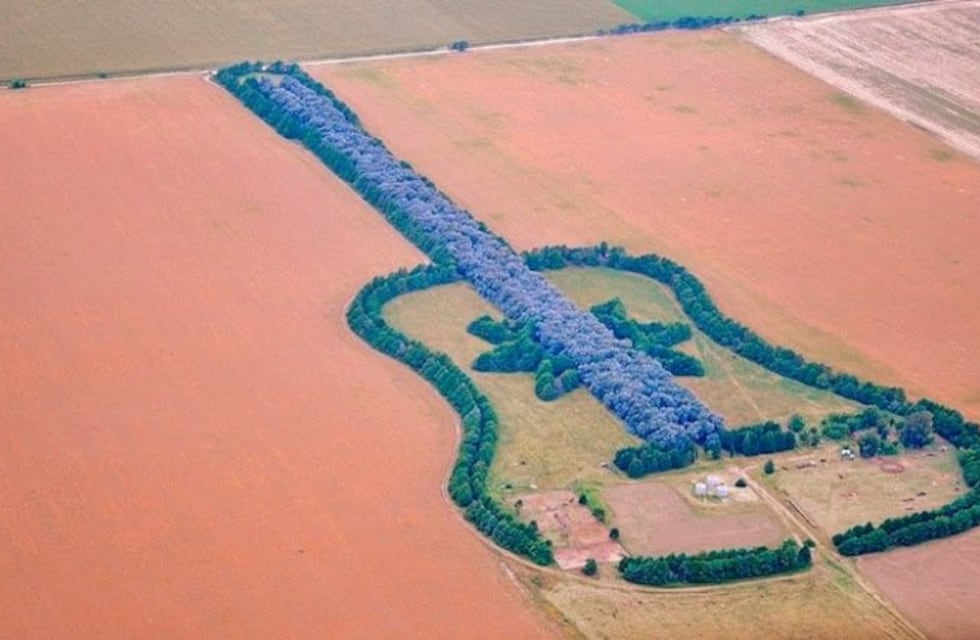 Árboles de amor: falleció el cordobés que le regaló una guitarra al cielo