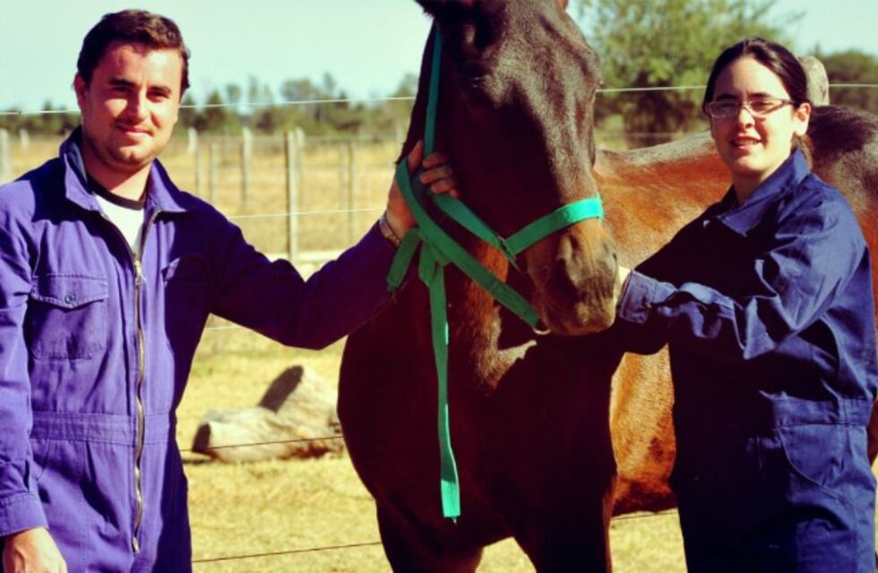 La Universidad Católica se hará cargo de los animales judicializados