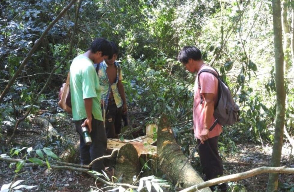 Se reavivó el conflicto con entre una comunidad guaraní y una empresa por la extracción de madera