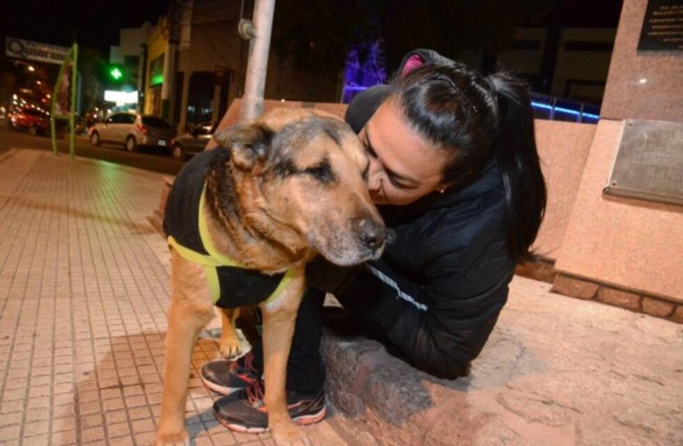 La emotiva historia de "Cabezón", el perro callejero más querido de San Luis