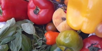 Por primera vez restaurantes de Córdoba participarán en el ciclo gastronómico MESA de estación\u002E