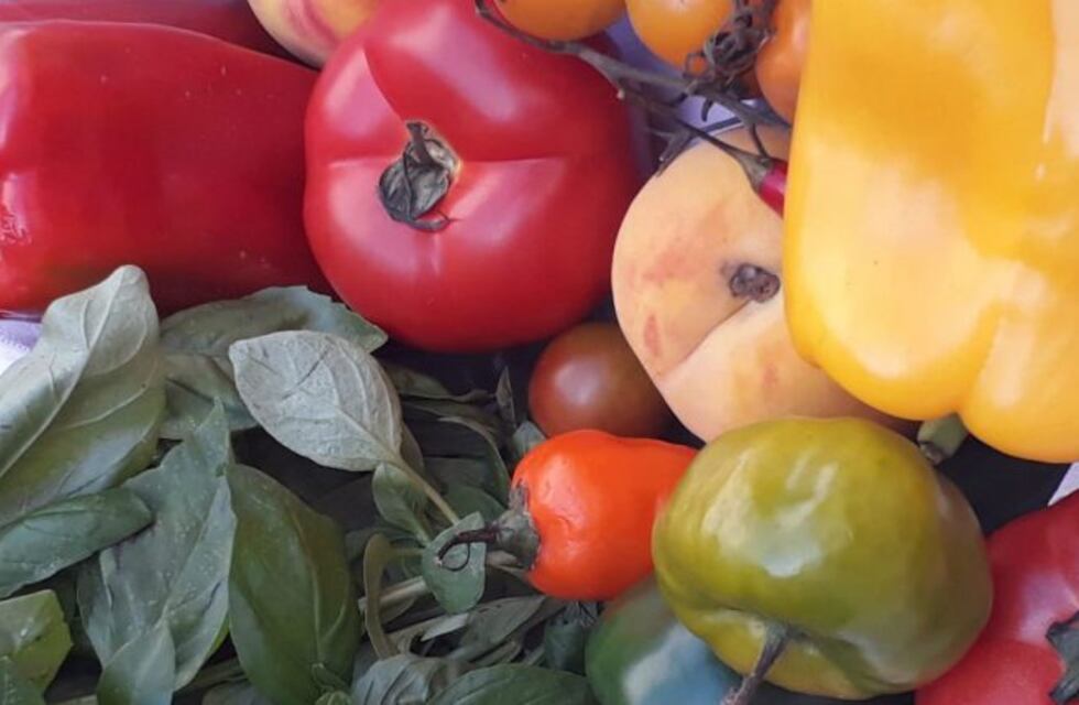 Córdoba se suma por primera vez al ciclo gastronómico Mesa de Estación
