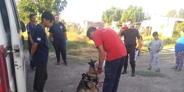 k9 de bomberos voluntarios
