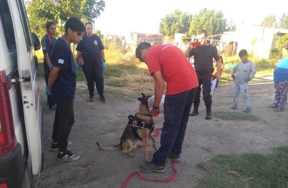 El k9 puntaltense ayudó y apareció la menor de Pedro Luro