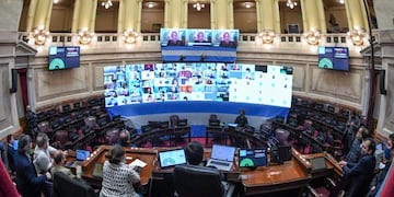 (Prensa Senado)