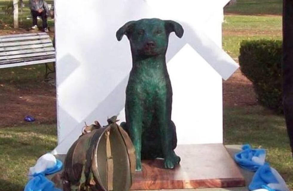 TOM: el perro civil que combatió en Malvinas