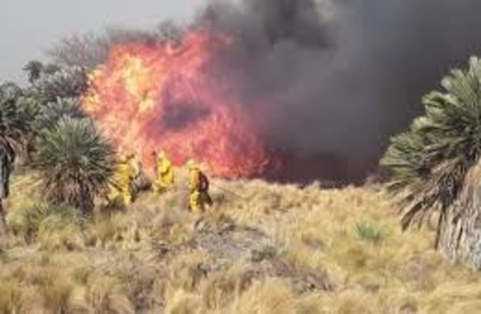 Vignetta reportó los incendios en Punilla